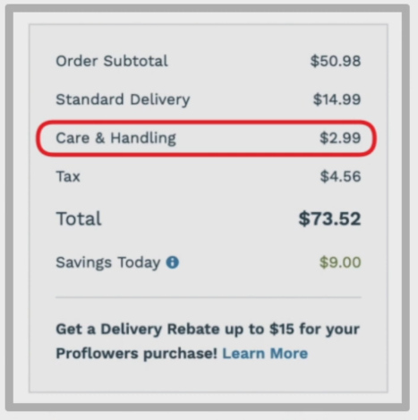 Care and Maintenance Surcharge