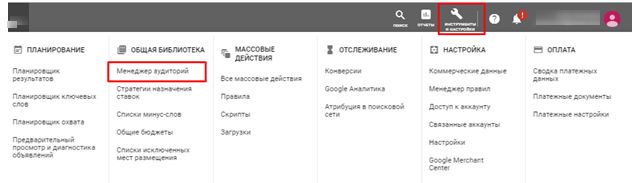Audience Manager in Google Ads Dashboard