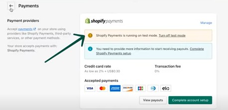 Тестовый режим Shopify Payments