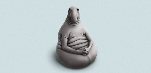 Затягивание при запуске интернет-магазина